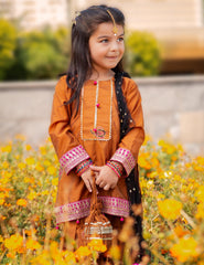 Mari Gold - Embroidered Block Print Gharara Set